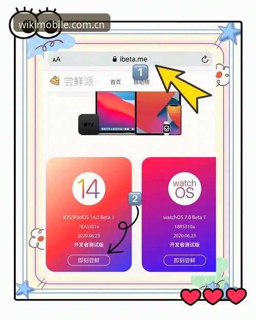 维基体育苹果下载实用指南：从安装到使用的必备知识