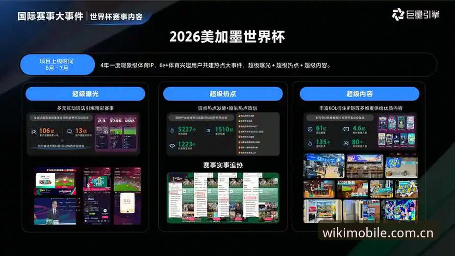 维基体育功能介绍 维基体育官网功能全面解析:品牌价值与赛事服务的深度融合